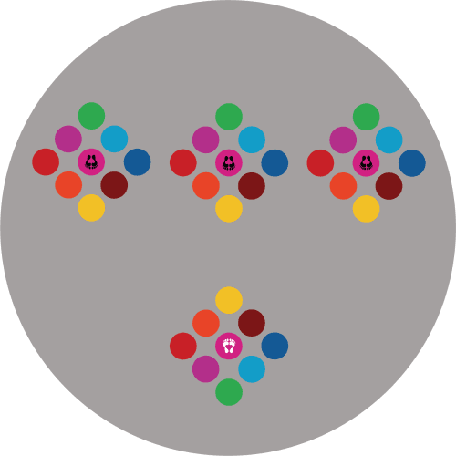 Lustro 4