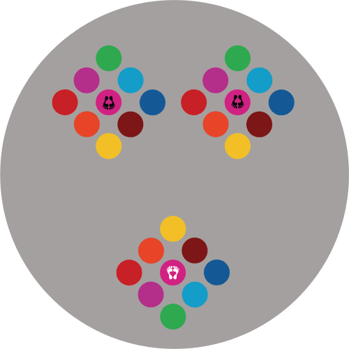 Lustro 3