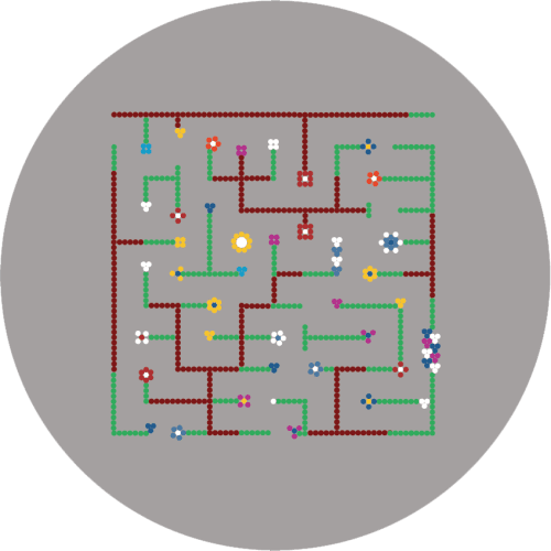 Labirynt dżungla