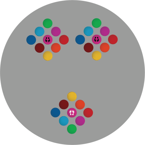 Lustro 3