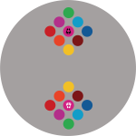 Lustro 2