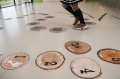 Las - ścieżka edukacyjna3