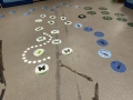 Łąka-ścieżka edukacyjna3