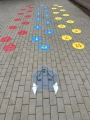 Wilk patrzy 01-2